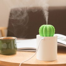 [오픈마켓] 선인장 USB 미니 가습기, 그레이