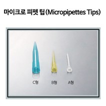 마이크로피펫 팁(Micropipettes Tips) / C형, 1000개입