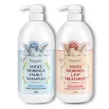 보타미안 엔젤모링가 패밀리샴푸 1000g + LPP트리트먼트, 1개