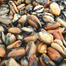 반건조홍합살 건홍합 술안주 미역국재료, 1개, 반건조홍합살500g