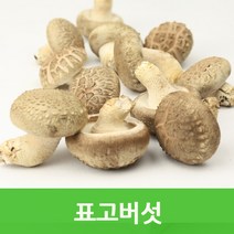 자체브랜드 생표고, 생표고버섯(특품)1kg