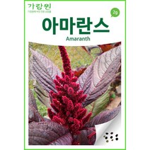 아마란스씨앗 아마란스 씨앗 (혼합씨앗 2g/3000알), 3개