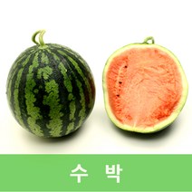 자체브랜드 하우스수박, 꿀수박5k내외