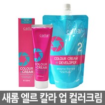 새롬 엘르 칼라 업 컬러크림 염색약/5개당산화제1개, 8-1 밝은회색, 1개