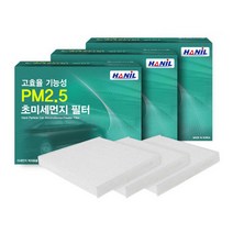 PM2.5 초미세먼지 필터 (3회 교체분), 1개, 현대 | pb174 아슬란 *3개