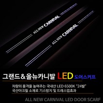 대경모터스 올뉴카니발 그랜드카니발 LED도어스커프 LED도어스텝, 그랜드카니발(1열 화이트), 1set