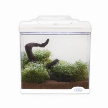 초록끈 히로세 투명플라스틱 일체형 리코 수족관RICO-L25 수족관