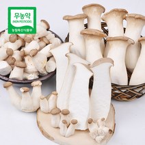 [푸르젠] 무농약인증 국내산 새송이버섯, 1개, 2kg(솎기용/무선별)