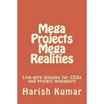 Mega Projects Mega Realities: Live-Wire Lessons for Ceos and Project Managers Paperback, Createspace