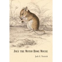 Joey the Motor Home Mouse Hardcover, iUniverse