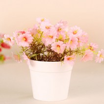 맥스 인테리어 홈테코용 조화, LY-01 다육이 라울