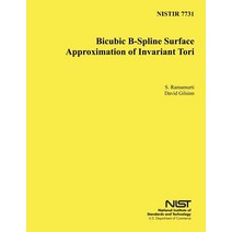 Nistir 7731: Bicubic B-Spline Surface Approximation of Invariant Tori Paperback, Createspace Independent Publishing Platform