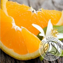 커풋(영국) 오렌지 100ml 유기농 (Orange Essential Oil) 에센셜오일, 1개