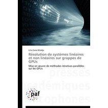 Resolution de Systemes Lineaires Et Non Lineaires Sur Grappes de Gpus = Ra(c)Solution de Systa]mes Lin..., Academiques