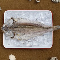 [으뜸해수산] 반건조 민어 국내산 민어, 4개, 35-40cm전후(대)
