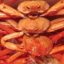 산지직송 동해 홍게 붉은대게 조업 입항 당일 생물 자숙(찜), 1박스, 11_홍게 프리미엄형 3kg 6~10마리(생물)