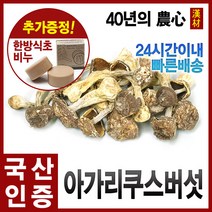 자애인 국산 아가리쿠스버섯 100g 건조버섯 신령버섯, 1개