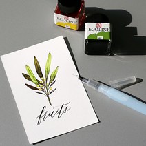 로얄탈렌스 에코라인 캘리그라피 수채화 잉크 48색, 샤르트뢰즈