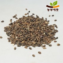 농부애뜻 쓴메밀 500g 국산 흑메밀 타타리, 1팩