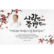 애니데이파티 [퇴임현수막] NEW오리엔탈매화-포토형 현수막