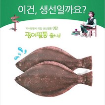 갓샵 광어 우럭 감성돔 필통 물고기 생선 특이한 파우치, 참돔필통