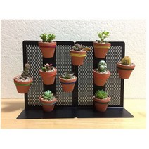 그린플랜트 초미니다육 미니어처 1+1+1 다육화분 독일토분, 해를 아주 좋아하는 미니어쳐다육랜덤 3개