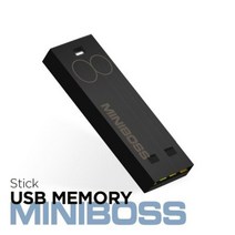 테라토닉 MINIBOSS STICK 메모리카드, 32GB