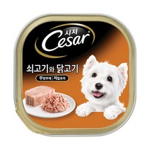시저 양양간식 간식캔, 쇠고기 + 닭고기, 12개