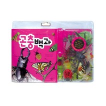 곤충 모형과 함께 배우는 곤충백과