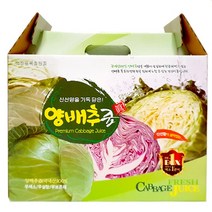대원건강푸드 국산 양배추즙, 50팩