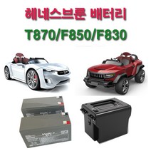 헤네스 헤네스T870F850F830전동차배터리, T870/F85024V배터리팩(배터리제외)