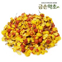 금손약초 노박덩굴열매, 100g, 1개