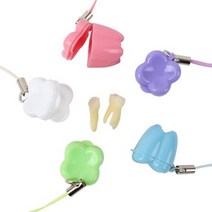 제네사 유치 보관 케이스/ 유치 치아 이빨 보관함 어린이집 유치원 유치 영구치 나는 시기 순서 소아 치과 5컬러 각10개, 스카이