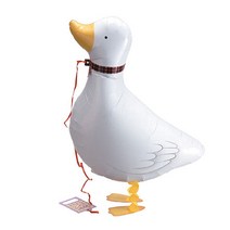 수플레이스 산보풍선오리, 오리