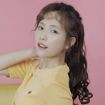 레몬고양이 벨크로달비01 포니테일 가발, 골드브라운, 1개