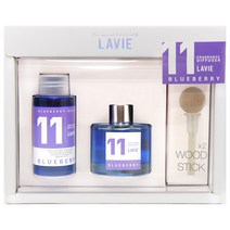 라비에 차량용 방향제 선물세트 50ml 기획세트, 1개, 1세트, 블루베리