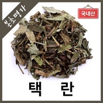 본초명가 택란 쉽싸리, 1개, 300g