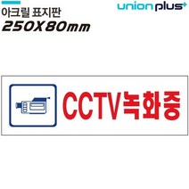 CCTV녹화중 표지판 250 x 80mm, 단일 수량