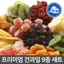 장수왕 프리미엄 건과일 9종세트 /설날 명절 구정 설 답례품 고급 말린 과일 선물, 1세트
