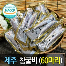(제주어부) 프리미엄 제주참굴비 총60마리 굴비특가, 1박스, 60마리