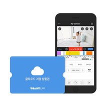 토스트캠 V3 Lite 방수방진, 클라우드 30일저장 12개월 상품권