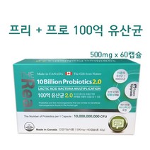 더리얼 프리바이오틱스 프로바이오틱스 생유산균 먹이 프락토올리고당 비피더스 장건강, 500mg, 1세트