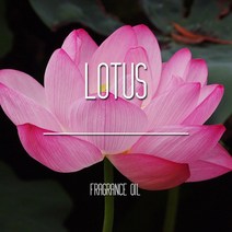 별님아씨 명가 국내 FO 프래그런스 오일 100ml, 연꽃