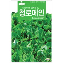 베이비 청로메인씨앗 3000립 베이비채소씨앗, 1개