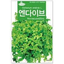 베이비 엔다이브씨앗 2000립 베이비채소씨앗, 1개