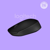 로이체 B170 무선마우스, 제품