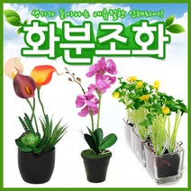 호가 화분조화 호접란 장미 인테리어 조화 화분 장식, 포인트 화분조화 데이지 핑크(-2400원)