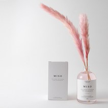 데일리미소 팜파스디퓨저+무드등+200ml+200ml+선물포장, 핑크D.팜파스-가든스윗피400ml