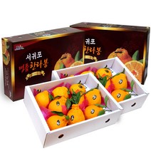 소담촌 한라봉 1+1 선물세트, 2박스, 3kg(6~9과)선물용