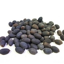 진도허브 국내산 연잎 하엽 연근 연자육 연씨 연자방 가루 환, 연자육(건재) 300g